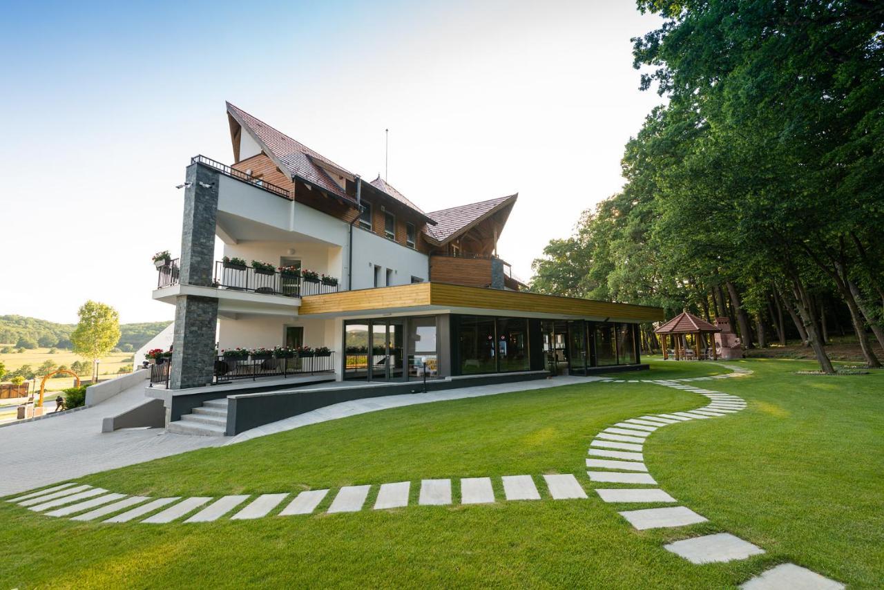Panorama Boutique Hotel Sfântu-Gheorghe Zewnętrze zdjęcie