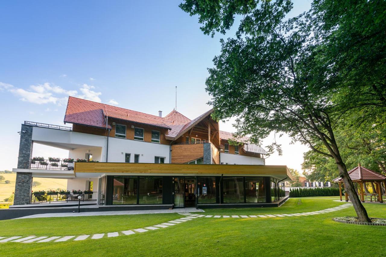 Panorama Boutique Hotel Sfântu-Gheorghe Zewnętrze zdjęcie