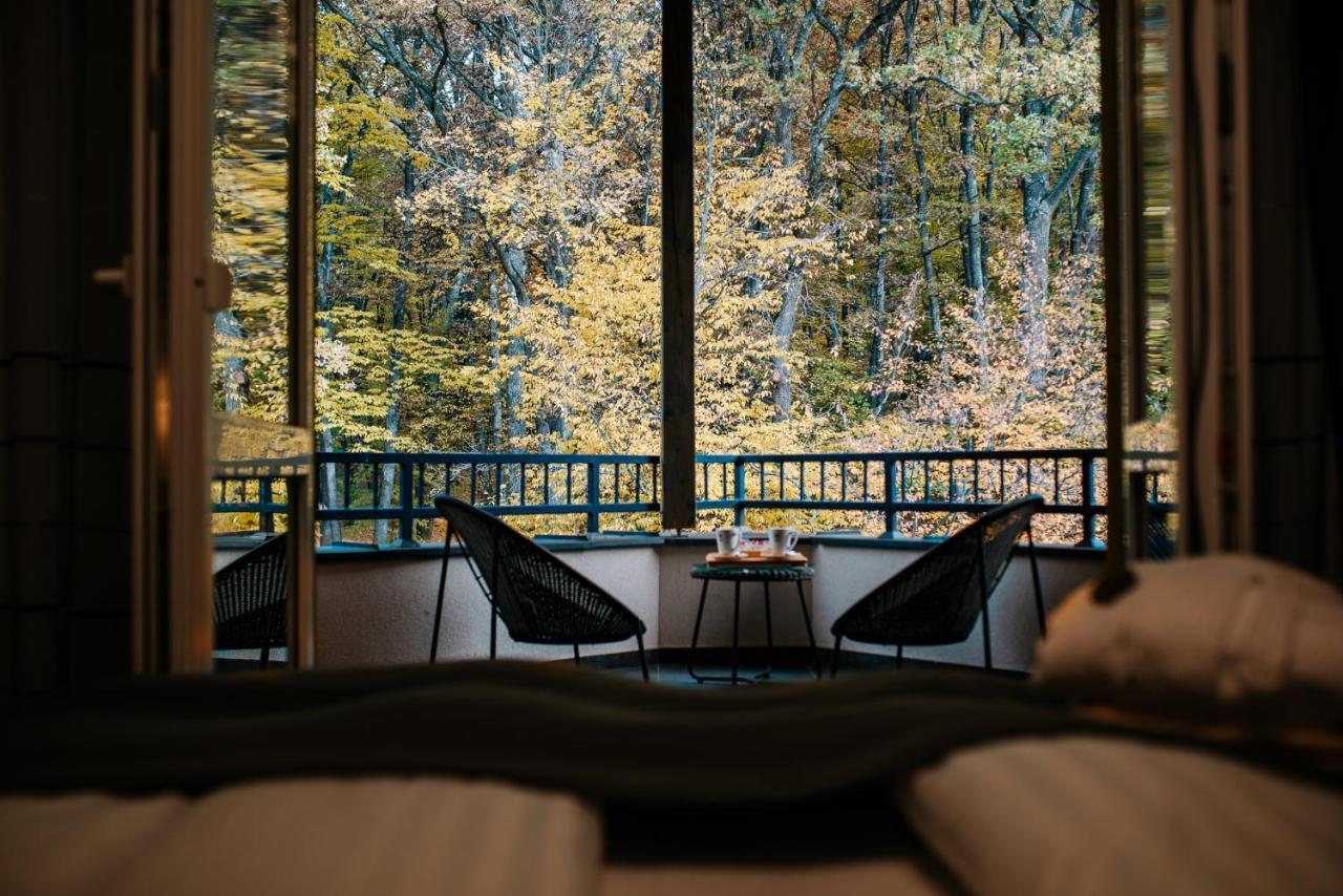 Panorama Boutique Hotel Sfântu-Gheorghe Zewnętrze zdjęcie