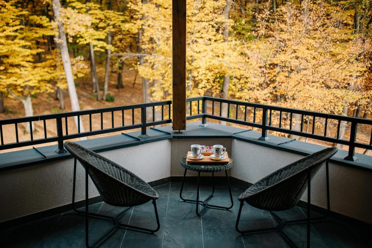 Panorama Boutique Hotel Sfântu-Gheorghe Zewnętrze zdjęcie
