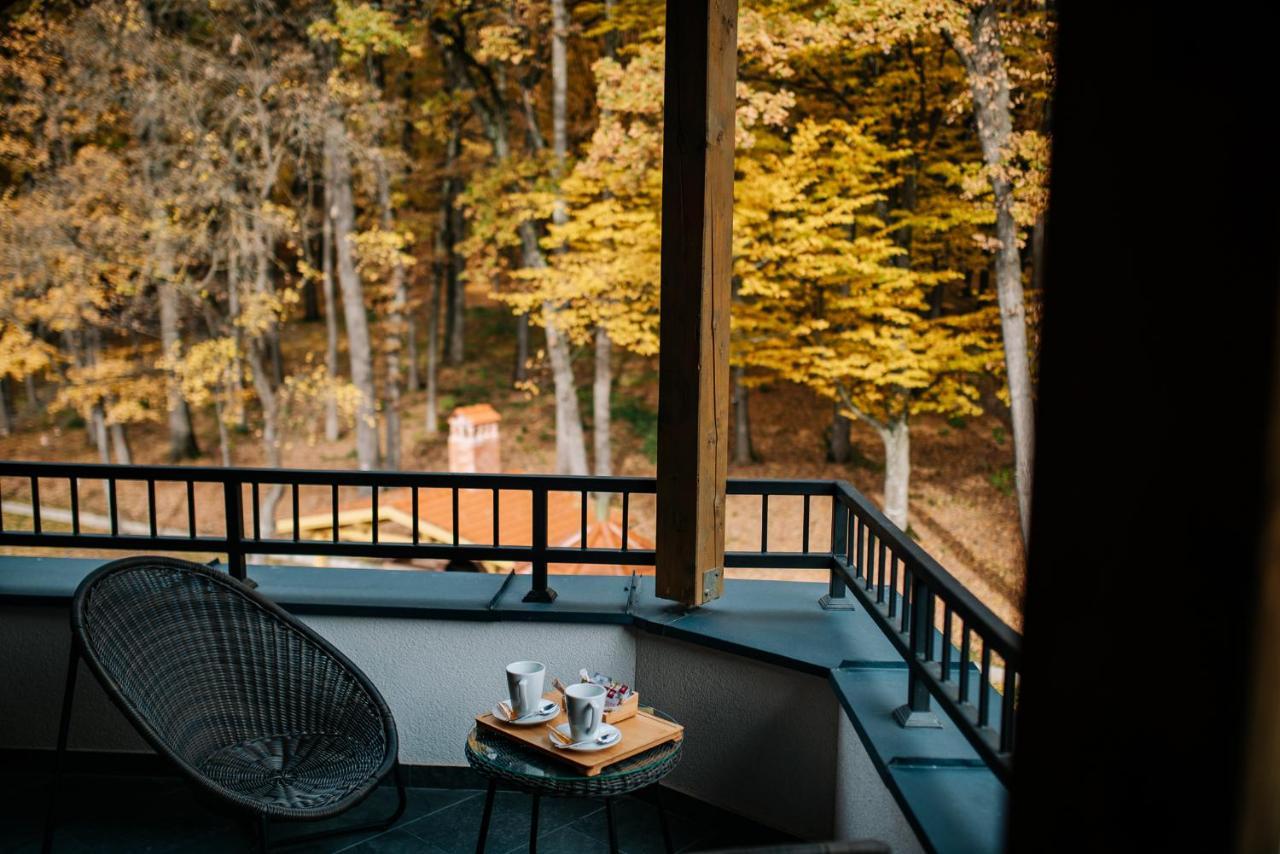 Panorama Boutique Hotel Sfântu-Gheorghe Zewnętrze zdjęcie